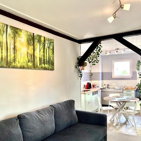 Seppala Charmant Appartement Colmar Exterior photo