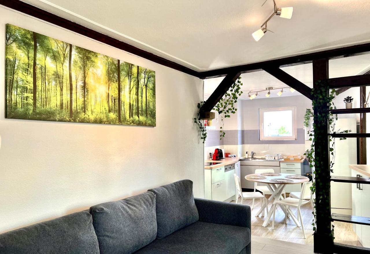 Seppala Charmant Appartement Colmar Exterior photo